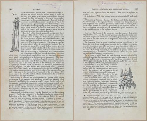 E675 - A System of Human Anatomy - 1857 - 4573-4574