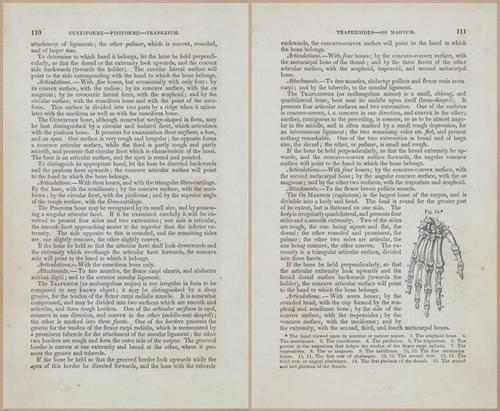 E675 - A System of Human Anatomy - 1857 - 4575-4576