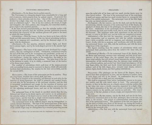 E675 - A System of Human Anatomy - 1857 - 4577-4578
