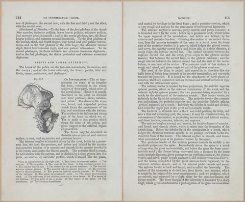 E675 - A System of Human Anatomy - 1857 - 4579-4580