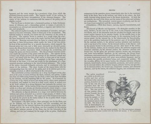 E675 - A System of Human Anatomy - 1857 - 4581-4582