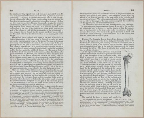 E675 - A System of Human Anatomy - 1857 - 4583-4584