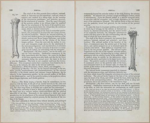 E675 - A System of Human Anatomy - 1857 - 4587-4588
