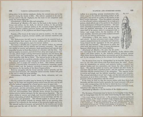 E675 - A System of Human Anatomy - 1857 - 4589-4590