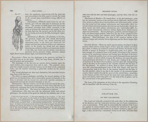 E675 - A System of Human Anatomy - 1857 - 4593-4594