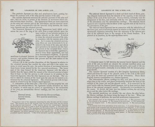 E675 - A System of Human Anatomy - 1857 - 4607-4608
