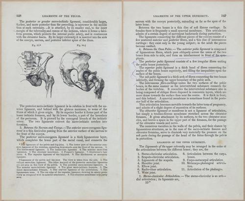 E675 - A System of Human Anatomy - 1857 - 4613-4614