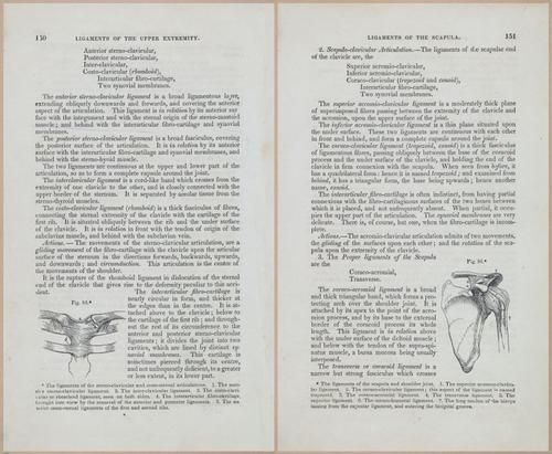 E675 - A System of Human Anatomy - 1857 - 4615-4616