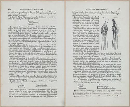 E675 - A System of Human Anatomy - 1857 - 4617-4618