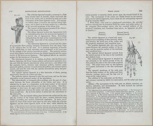 E675 - A System of Human Anatomy - 1857 - 4619-4620
