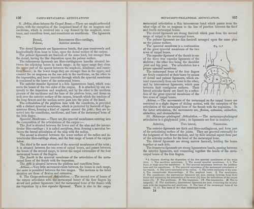 E675 - A System of Human Anatomy - 1857 - 4621-4622