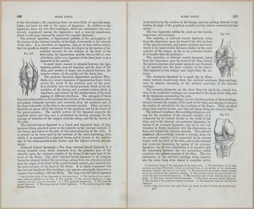 E675 - A System of Human Anatomy - 1857 - 4625-4626