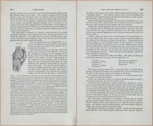 E675 - A System of Human Anatomy - 1857 - 4627-4628