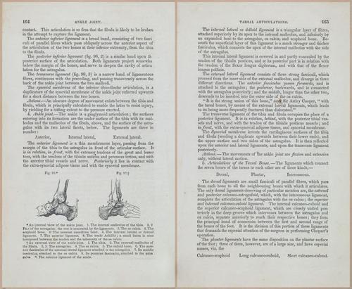 E675 - A System of Human Anatomy - 1857 - 4629-4630