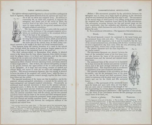 E675 - A System of Human Anatomy - 1857 - 4631-4632