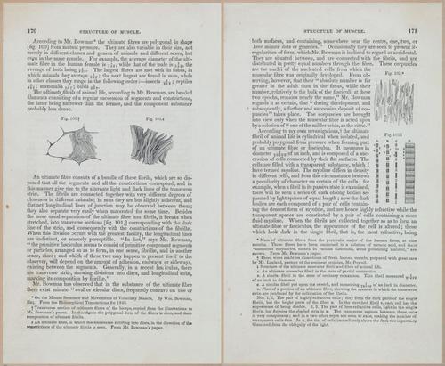 E675 - A System of Human Anatomy - 1857 - 4635-4636