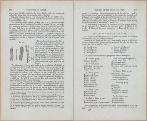 E675 - A System of Human Anatomy - 1857 - 4637-4638
