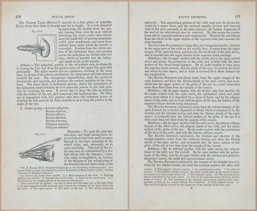 E675 - A System of Human Anatomy - 1857 - 4641-4642