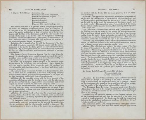 E675 - A System of Human Anatomy - 1857 - 4645-4646