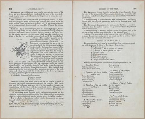 E675 - A System of Human Anatomy - 1857 - 4649-4650
