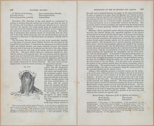 E675 - A System of Human Anatomy - 1857 - 4651-4652