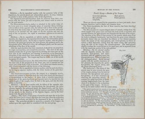 E675 - A System of Human Anatomy - 1857 - 4655-4656