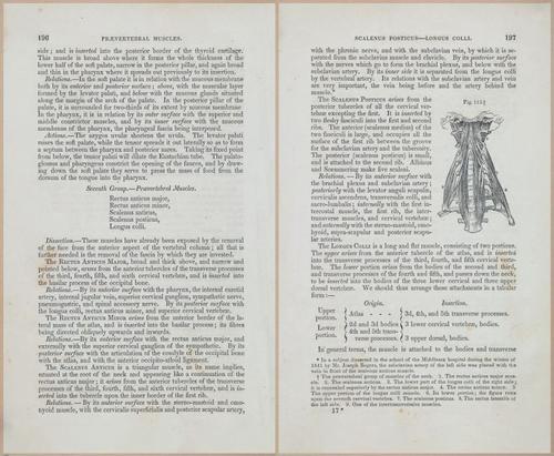 E675 - A System of Human Anatomy - 1857 - 4661-4662