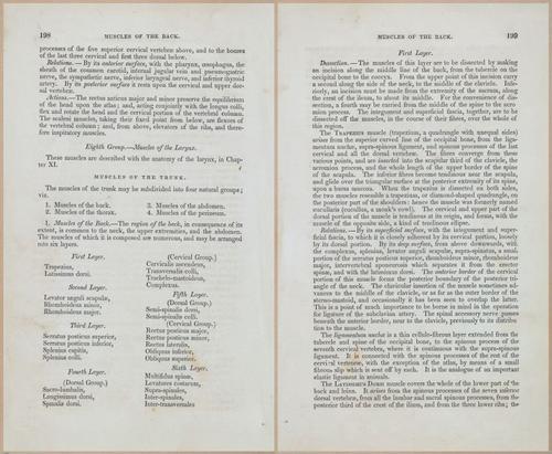 E675 - A System of Human Anatomy - 1857 - 4663-4664