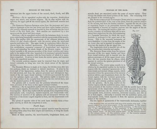 E675 - A System of Human Anatomy - 1857 - 4667-4668