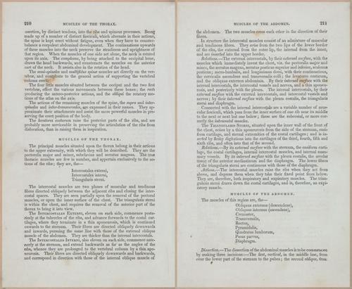 E675 - A System of Human Anatomy - 1857 - 4675-4676