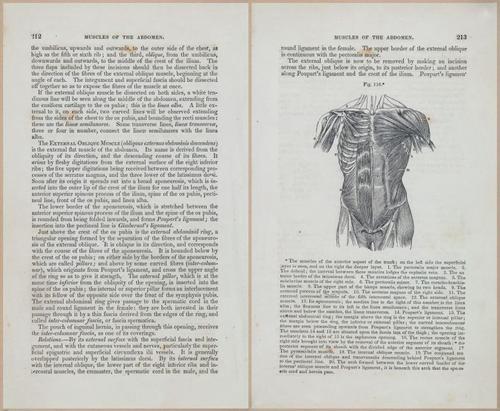E675 - A System of Human Anatomy - 1857 - 4677-4678