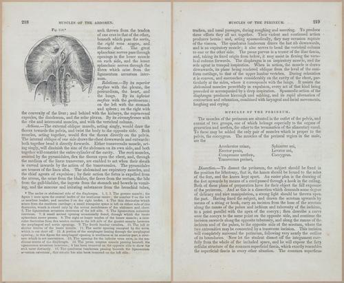 E675 - A System of Human Anatomy - 1857 - 4683-4684