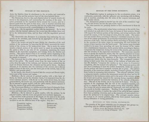 E675 - A System of Human Anatomy - 1857 - 4687-4688