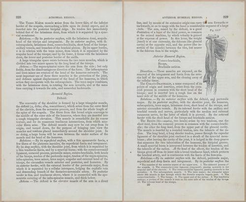 E675 - A System of Human Anatomy - 1857 - 4694-4695