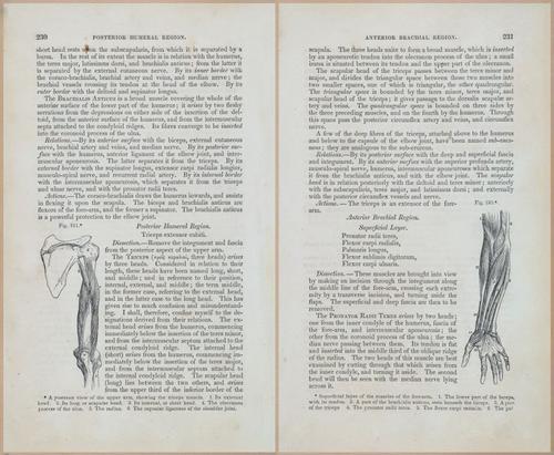 E675 - A System of Human Anatomy - 1857 - 4696-4697