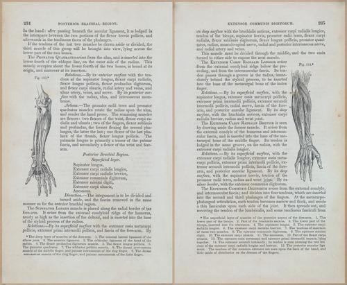 E675 - A System of Human Anatomy - 1857 - 4700-4701