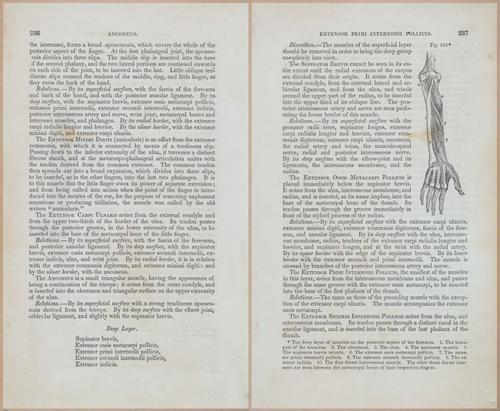 E675 - A System of Human Anatomy - 1857 - 4702-4703