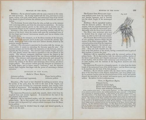 E675 - A System of Human Anatomy - 1857 - 4704-4705