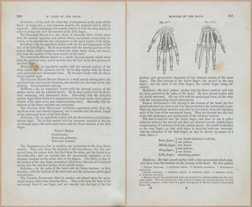 E675 - A System of Human Anatomy - 1857 - 4706-4707