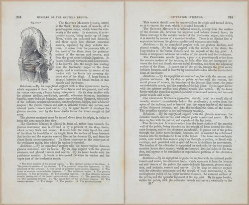 E675 - A System of Human Anatomy - 1857 - 4710-4711