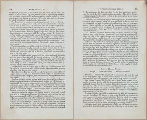E675 - A System of Human Anatomy - 1857 - 4716-4717