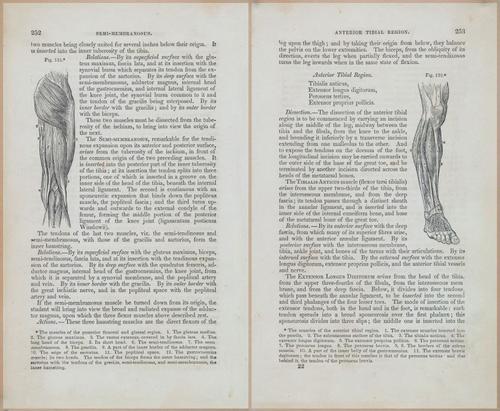 E675 - A System of Human Anatomy - 1857 - 4718-4719