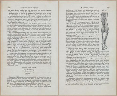 E675 - A System of Human Anatomy - 1857 - 4720-4721