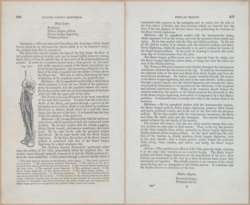 E675 - A System of Human Anatomy - 1857 - 4722-4723