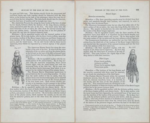 E675 - A System of Human Anatomy - 1857 - 4726-4727