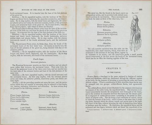 E675 - A System of Human Anatomy - 1857 - 4728-4729