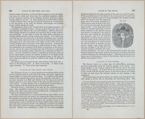 E675 - A System of Human Anatomy - 1857 - 4730-4731