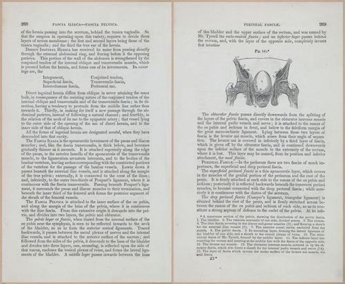 E675 - A System of Human Anatomy - 1857 - 4734-4735