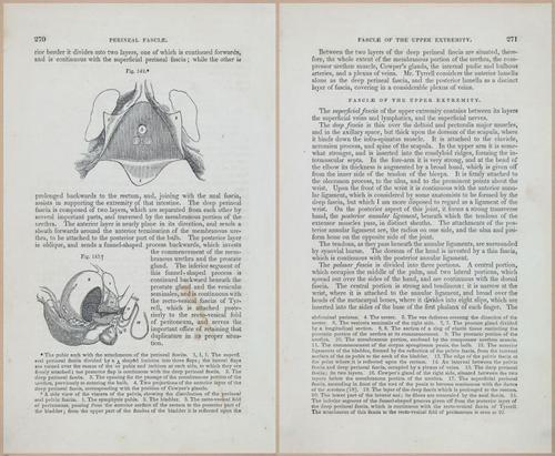 E675 - A System of Human Anatomy - 1857 - 4736-4737