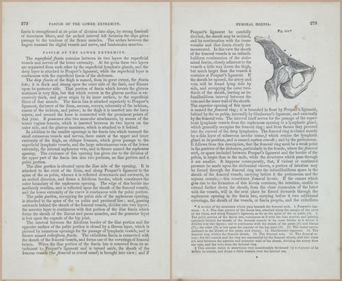 E675 - A System of Human Anatomy - 1857 - 4738-4739